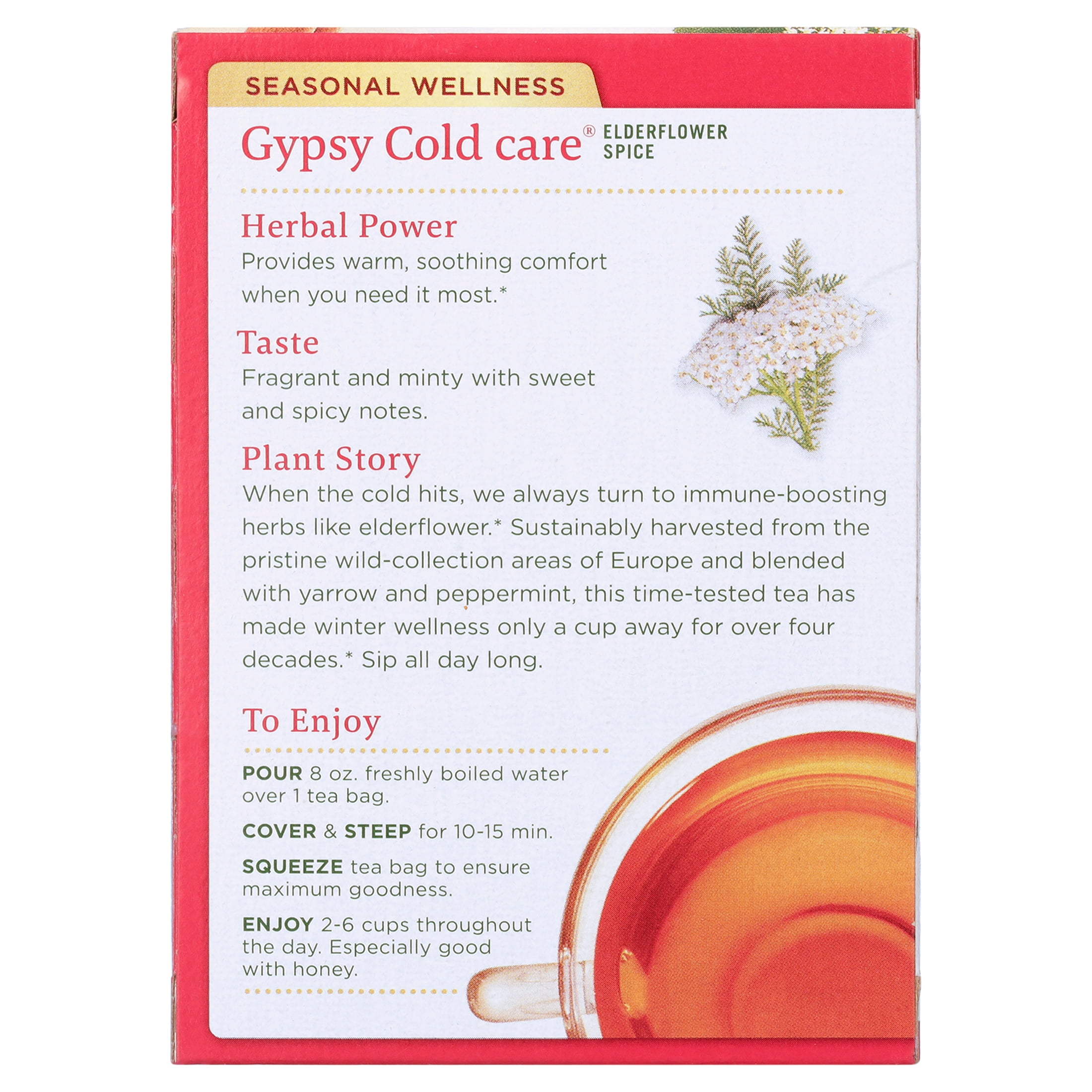 6 Pack) Traditional Medicinals Gypsy Cold Care Herbal Tea,16 Tea 
