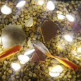 thumbnail image 5 of Starryfill Ocean Real Seashell 0.8"(h) 40 Led String Lights 13.85ft Battery Operated Waterproof Warm White With Timer And Remote Control For Beach The, 5 of 5