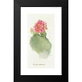 thumbnail image 2 of Margaret Armstrong 9x14 Black Modern Framed Museum Art Print Titled - Opuntia Basilaris (1915), 2 of 5