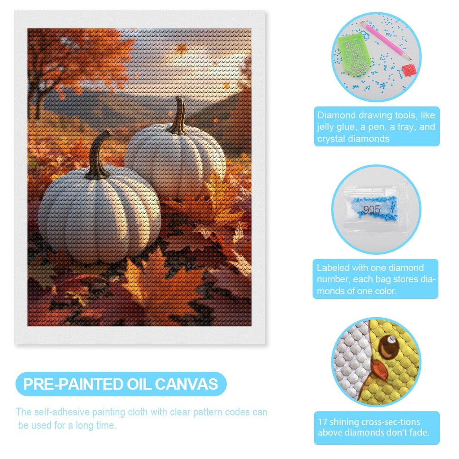 Diamond Art Kits for Adults, White Pumpkins Autumn Leaves Landscape 5D Diamond Painting Kits for Adults Beginners, DIY Full Drill Diamond Painting, Gem Art and Crafts 12x16