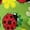 Ladybug Flower, variant on Pzuqiu Camouflage Hunting Sweatshirt Kids 10-11 Versatile Personalized Girls' Fashion Hoodies & Sweatshirts Lightness Fall Winter Clothes Long Sleeve Jacket Outfits for Daily Life