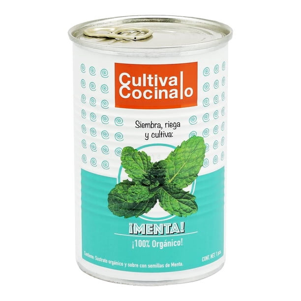 Kit Cultivar Menta Pisumma Sustrato Y Semillas