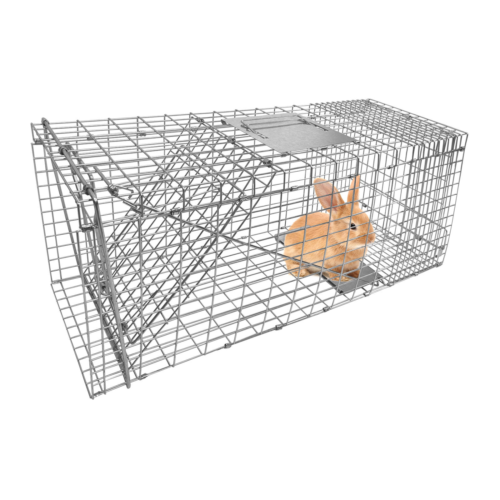 PRIJESSE 37inch Foldable Humane Live Animal Trap Cage for Squirrel, Rat, Bunny, Mink, No-Kill Bait Trapping Kit, Catch & Release, Silver