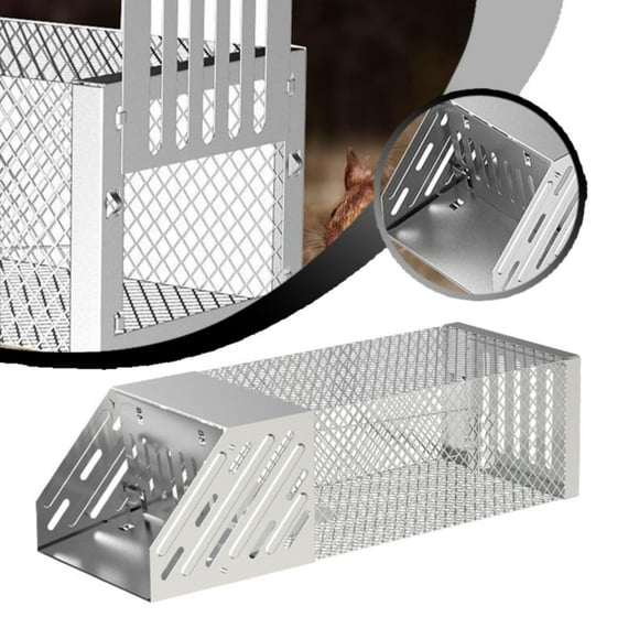 Clearance! Stainless Steel Squirrel Trap Cage Catch & Release For Set Outdoor & Indoor Mouse Traps Bug Catcher Fly Swatter Silver