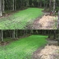 thumbnail image 3 of Antler King JOLT Foliar Fertilizer, 32 oz with Maximizes succulent forage produced in your plot, 3 of 5