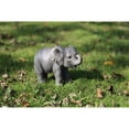 thumbnail image 2 of Hi-Line Gifts 6.75" Baby Elephant Outdoor Garden Statue, 2 of 2