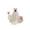 White, variant on Halloween Decorations Outdoor Indoor, Halloween Cute Ghost Holds Pumpkin Desktop Decoration Battery, Self Standing Tabletop Halloween Decoration, for Indoor Home Mantel