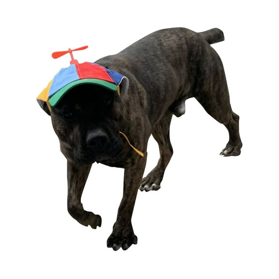 Dog Hats with Funny Propeller, Size and Rope Double Adjustment Pet Hats for Small Middle and Large Dog (Iridescent)