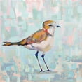thumbnail image 2 of Vertentes, Jeanette 26x26 Black Ornate Wood Framed with Double Matting Museum Art Print Titled - Coastal Plover III Neutral, 2 of 4