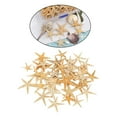 thumbnail image 3 of Estrella de mar natural - Decoración para el hogar Conchas marinas Artesanía 2-3cm 50 piezas Zulema artesanías conchas marinas, 3 of 8