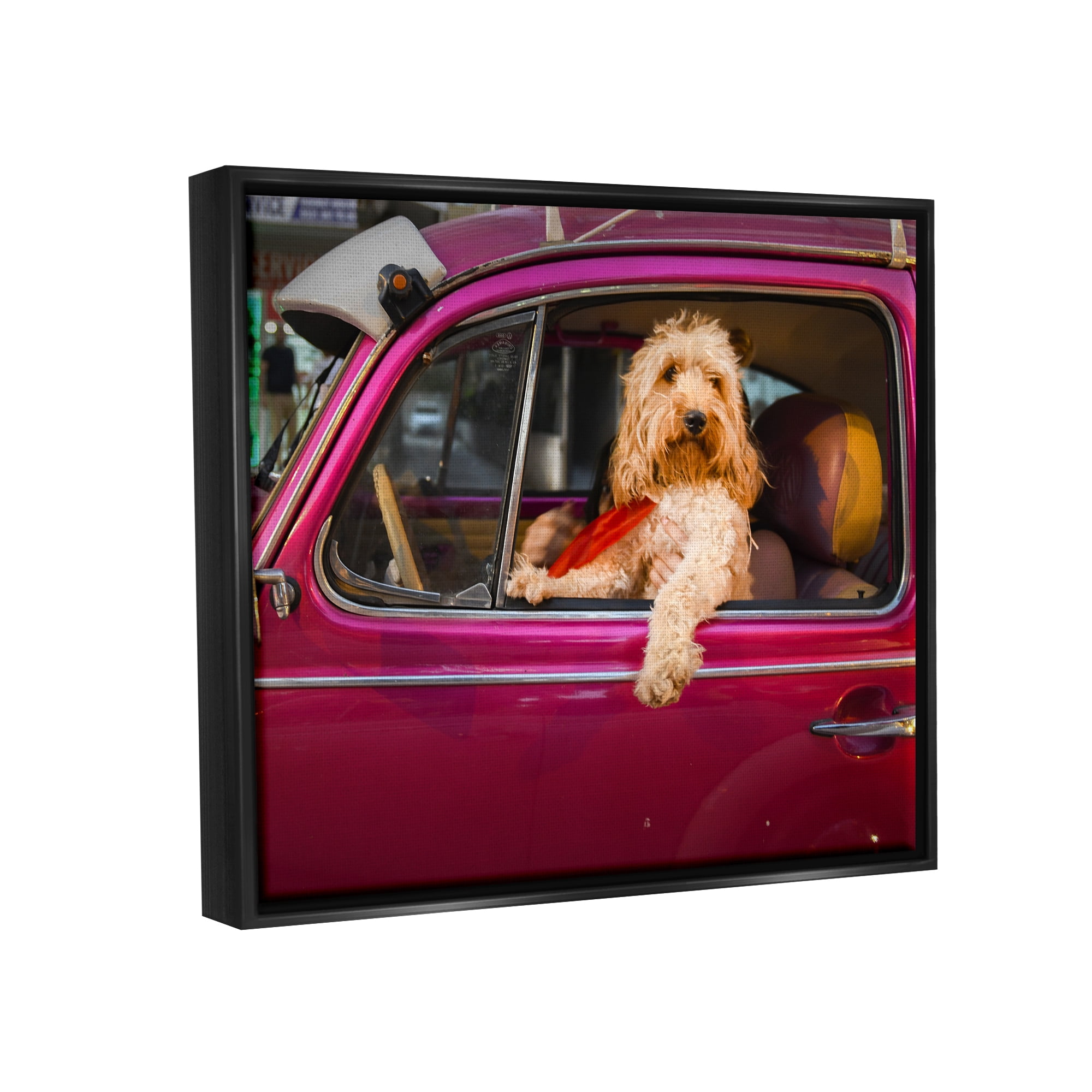 Stupell Industries Funny Chauffeur Dog Animals & Insects Photography Black Floater Framed Canvas Art Print Wall Art, 31 x 25