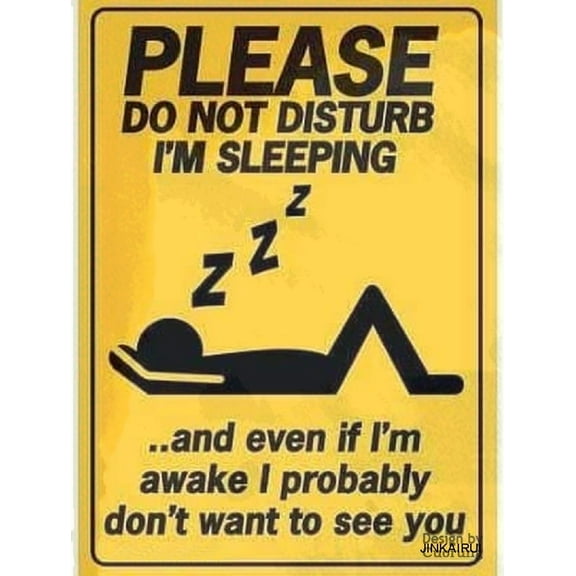 Funny Do Not Disturb Metal Sign Sleeping Humor Aluminum Tin Poster 8x12 Inch for Home Office Bedroom Cave Bar Wall Decor Vintage Retro Style Warning Plaque