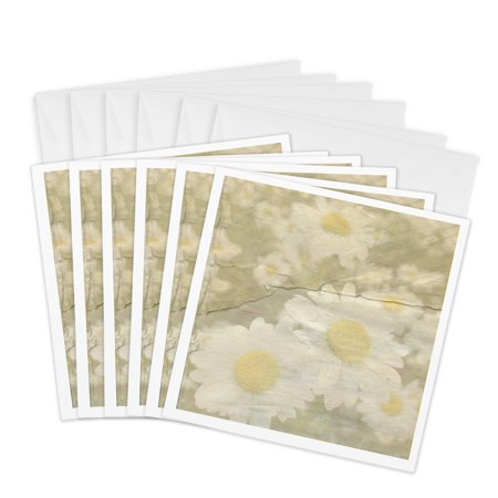 3drose Daisies Paper Floral Art 6 Greeting Cards with Envelopes