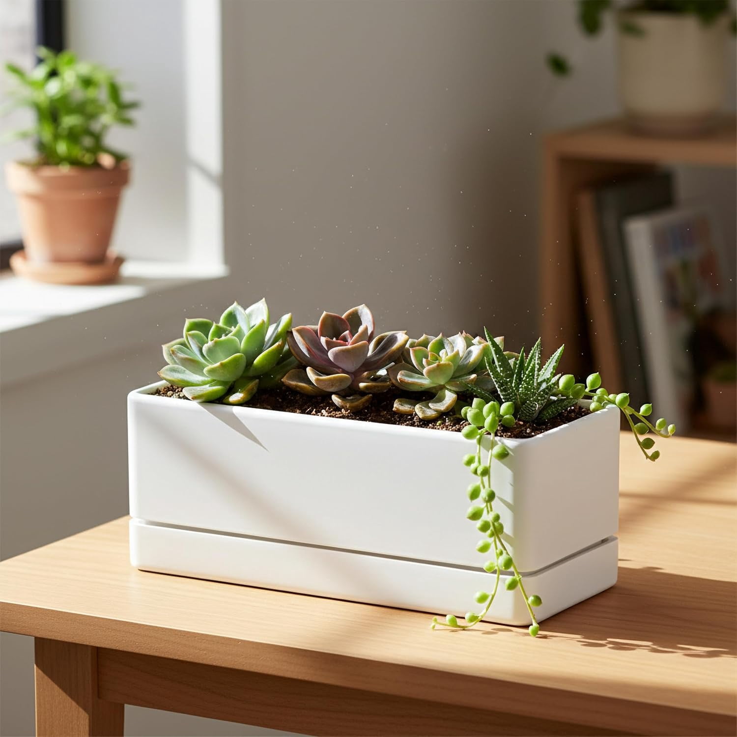 12 Inch Window Box Planter, Rectangle Plastic Herb Planter with Drainage Holes and Saucer, Indoor Succulent Cactus Vegetable Pot for Windowsill, Garden Balcony, Clear, Set of 2, 76-X-D-2