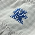 thumbnail image 4 of Girl's Infant Garb Gray Kentucky Wildcats Cara Gingham Ruffled Bodysuit, 4 of 4