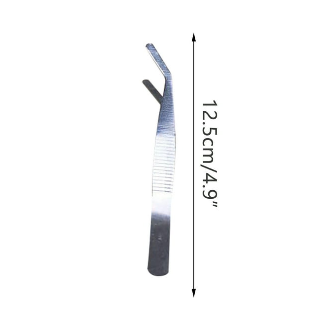 Dvkptbk Pinces en Acier Inoxydable Pinces en Acier Inoxydable Ornements de Mousse Outils de Jardinage Pinces en Acier Inoxydable