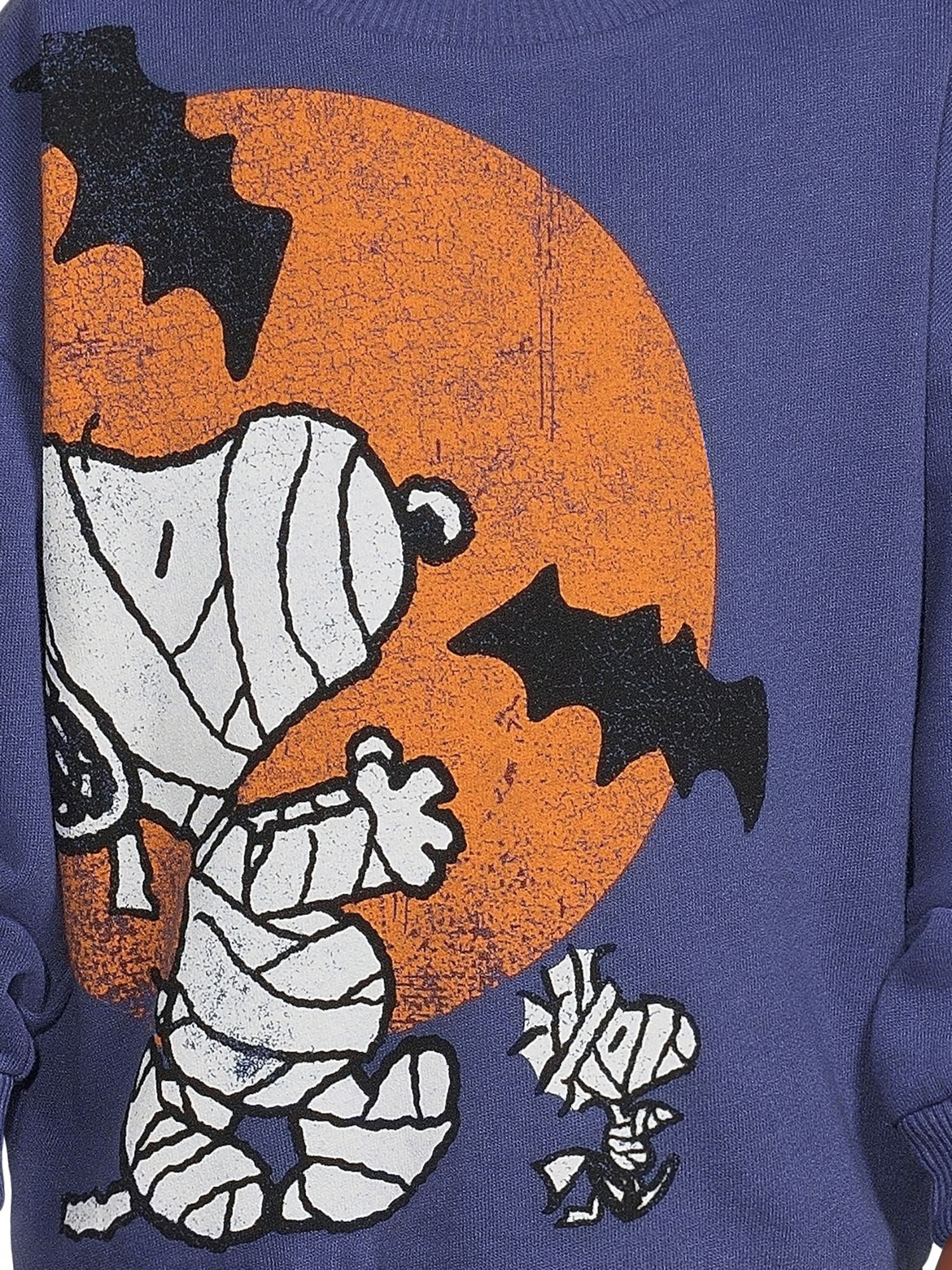 Peanuts Brandclub Peanuts Toddler Boy Snoopy Halloween Graphic Sweatshirt Sizes 12M 5T