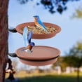 thumbnail image 6 of GIXUSIL 3Pcs Bird Trays Tree Mounted For Bird Feeder Bird Bath Bowl,Bird Feeder Tree Mounted Bird Feeding Tray Plastic Bird Seed Tray Water Bath Bowl For Outdoor Garden Decor,Brown, 6 of 7