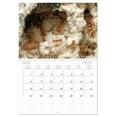 thumbnail image 6 of Exotic ants (Monthly Wall Calendar 2026 11.7 x 16.5 (open)), CALVENDO 14 Month Calendar, 6 of 9