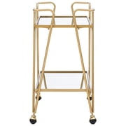Linon Mia Metal and Mirrored Mid-Century 2 Level Rolling Bar Cart in Gold