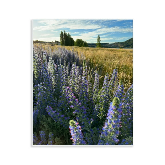Stupell Industries Lavender Fields Landscape Landscape Photography Unframed Art Print Wall Art, 11 x 14