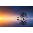 thumbnail image 2 of Hamiti, Bess 14x11 White Modern Wood Framed Museum Art Print Titled - Flamingos In A Lake With A Tree, 2 of 4