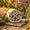 A, variant on Outdoor Bee Hive Hotel, Waterproof Durable Insect Habitat, Rustic Garden Decor to Attract Pollinator Bees and Insects for Garden