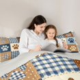 thumbnail image 4 of Homewish Dog Paw Checked Full Size Comforter Sets,Vintage Pet Theme Bedding Comforter Set,Blue,Light Gray Reversible,3 Pieces,1 Comforter and 2 Pillowcases, 4 of 7