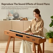 TERENCE P37 Digital Piano 88 Key Weighted Keyboard, Full-Size Keyboard Piano for Beginners, Electric Piano with Stand