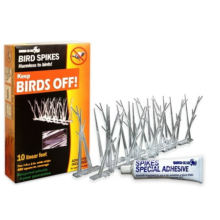 Bird-X Plastic Polycarbonate Bird Spikes Kit with Adhesive Glue, Covers 10 feet, BEST-SELLING Plastic Bird Spikes provide 10 feet of coverage By