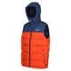 thumbnail image 1 of Regatta - Chaleco Forro Polar Nevado Sin Mangas para Hombre (Gris Oscuro, Aguilones Verdes), 1 of 4