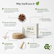 Nature Skin Shop Amla Ayurvedic Shampoo Bar, Strengthening for Fuller Hair, 2.7 Ounces