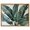 Gold Frame, variant on Jungle Jewel Jade II Canvas Costal Wall Art by Art Remedy, Black Frame, 20 x 16