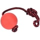 thumbnail image 2 of Pelota de juguete para perros sobre una cuerda de caucho natural CoscoSx, 2 of 12