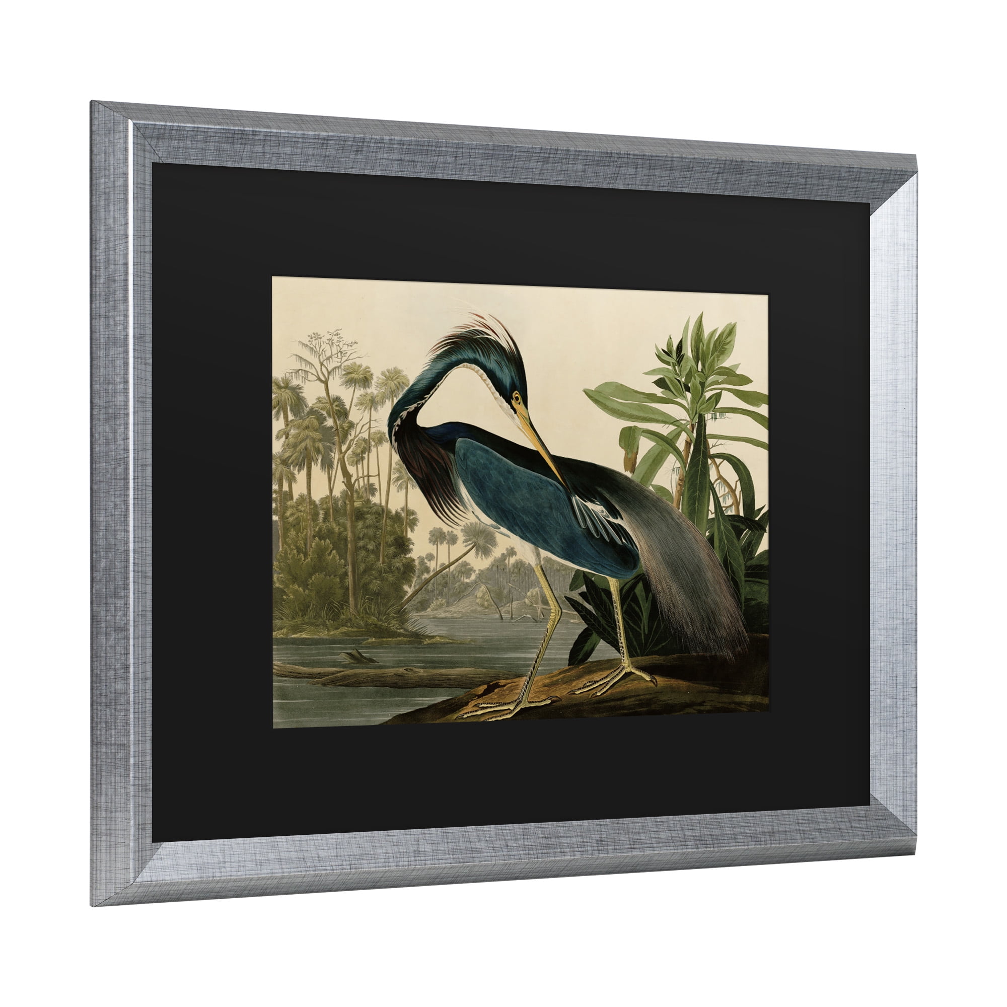 Trademark Fine Art 'Louisiana Heron' Canvas Art by John James Audubon