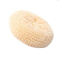 thumbnail image 2 of Cepillo de Limpieza de Cocina Jadeshay Nylon, 2 of 2