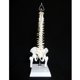thumbnail image 4 of 50cm Modelo Esquelético de Médula Espinal de Cuerpo Colgante de Tamaño Natural para Exhibición de Anatómica Colecciones, 4 of 9