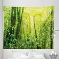 thumbnail image 1 of Nature Tapestry, Tropical Amazon Wildlife Nature Forest with Branches and Tree Art, Fabric Wall Hanging Decor for Bedroom Living Room Dorm, 5 Sizes, Forest Green Pale Green, by Ambesonne, 1 of 1