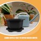 thumbnail image 3 of unbranded 1Jgo Maceta De PP Con Para Plantas Interiores Suculentas Bonsái Decorativa Duradera, 3 of 8