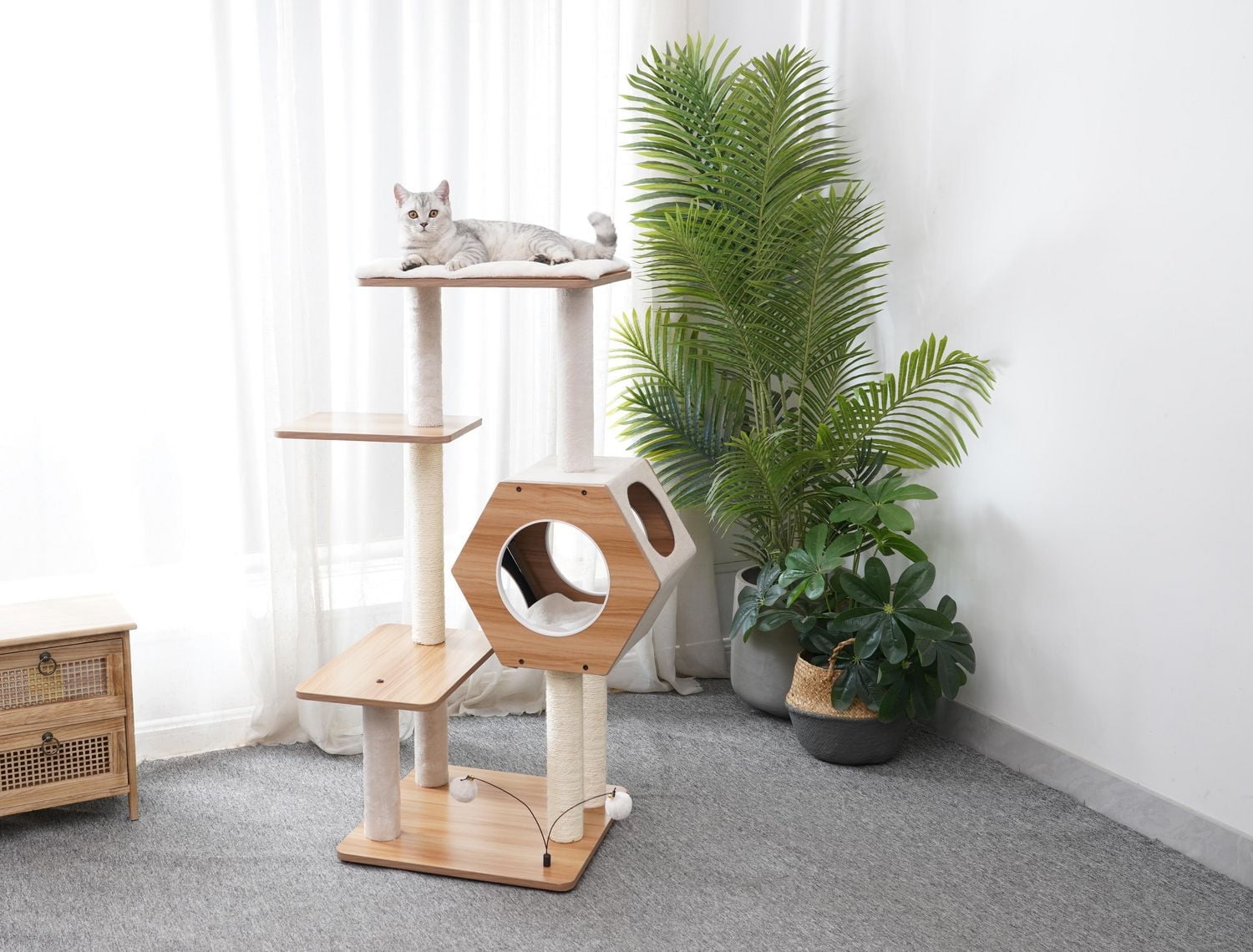 Catry Ambrose Wooden Cat Tree with Condo