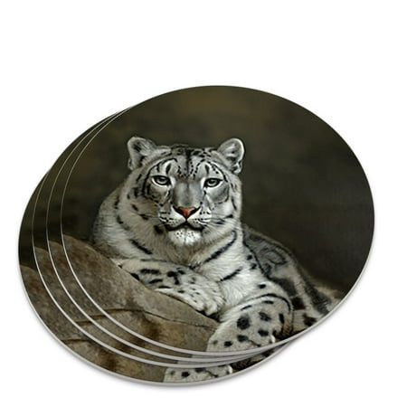 

Snow Leopard on Ledge Novelty Coaster Set