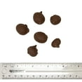 thumbnail image 4 of Beulah's Double Dipped Chocolate Peanuts, 1 Pound Package, 125 Pieces, 4 of 7