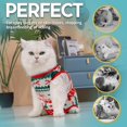 thumbnail image 4 of Mono Recovery Suit Avont Cat Kitten para gata hembra, talla L, 4 of 6