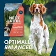 thumbnail image 2 of Next Level, Grain Free Salmon River® Skin & Coat Recipe, Dry Dog Food, 4 lbs, 2 of 6