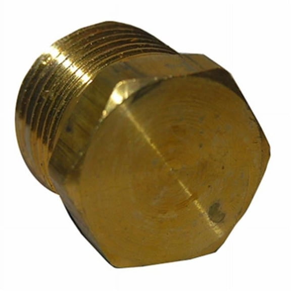 0.25 in. Male Pipe Thread Hex Head Plug