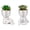 White Ceramic Pot B Green Succulent, variant on Black Ceramic Pot B Green Succulent Mini Artificial Plants Human Shaped Desk Decor