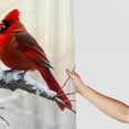 thumbnail image 2 of RKSupls Shower Curtain, Red Cardinal on Snowy Berry Branch Waterproof Polyester Shower Curtain with Hooks for Chic Elegant Home Bathtub Bathroom Decor Washable Curtains, 2 of 5