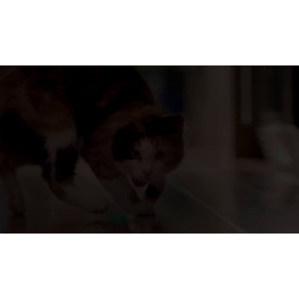 Purina One Wet Cat Food Variety Pack, 3 oz Cans (24 Pack)