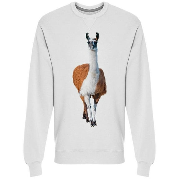 I Am Llamazing Sweatshirt Men -Image by Shutterstock, Male x-Large