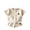 v#115Beige274, variant on Rggeeun Boys Child Outfit Sets Solid Color Cartoon Print Short Sleeve Crew Neck Loose Plus Size Breathable Top & Elastic Wide Leg Shorts for Summer Daily Workout Fashion Wear,Beige,4-5 Years